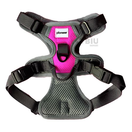 Arnes Atractiva para Caninos en Tono Fucsia Y+Stickers