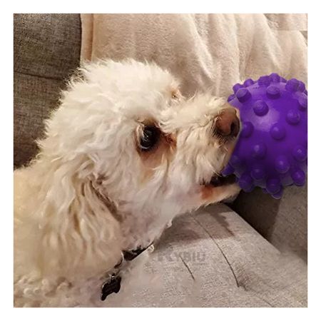 Balon Recreativo para Mascota en Morado Y+Post-it adhesivos