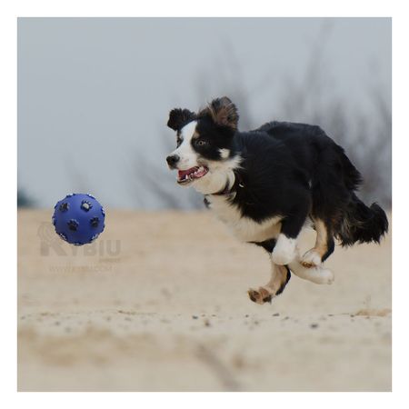 Pelota Masticable con Patitas en Tono Azul Y+Papel de Regalo