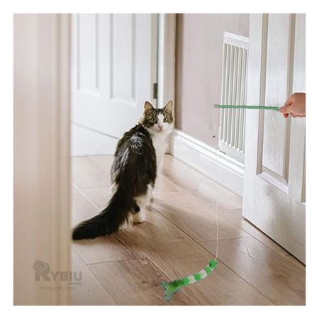 Varita Interactiva para Felinos de Color Verde Y+Agendita