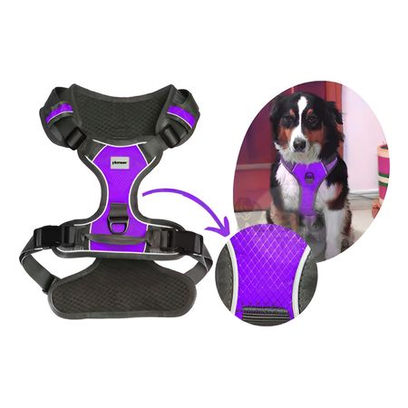 Pechera Adaptable para Pasear Can M Morado Y+Stickers