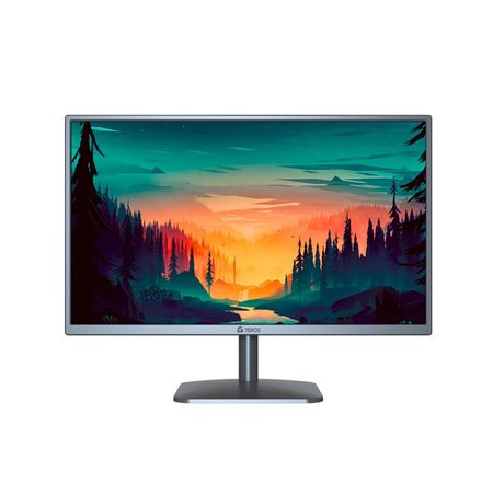 Monitor flat Teros TE-1914S, 19.5