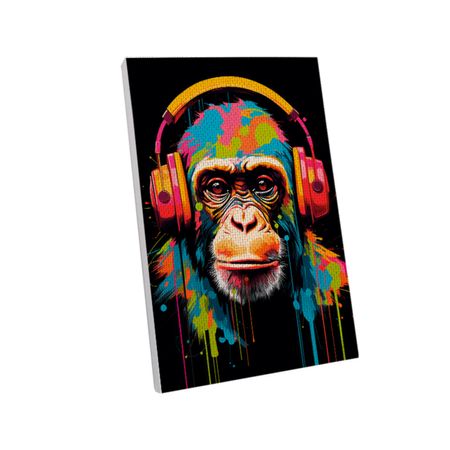 Paint by Numbers Dj monkey 20x30cm