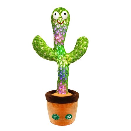 Cactus Bailaron Imitador Modelo Variados Cactus Bailarín Imitador Modelo Variados