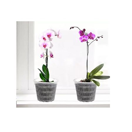 Set de 3 Macetas para Orquídeas de 7.5 cm de Ancho