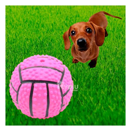 Balon Recreativo para Perro en Rosado Y+Post-it adhesivos