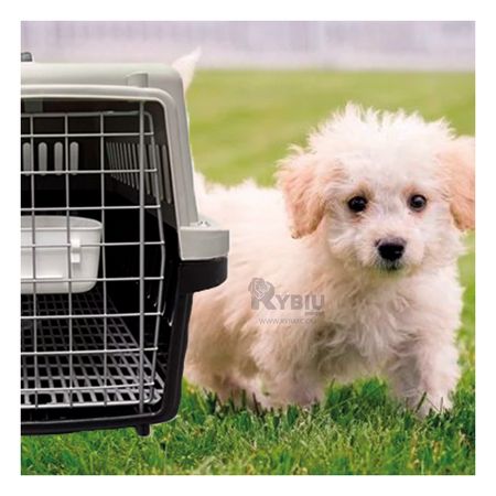 Transportadora para Perro L50 Color Negro Y+Papel de Regalo