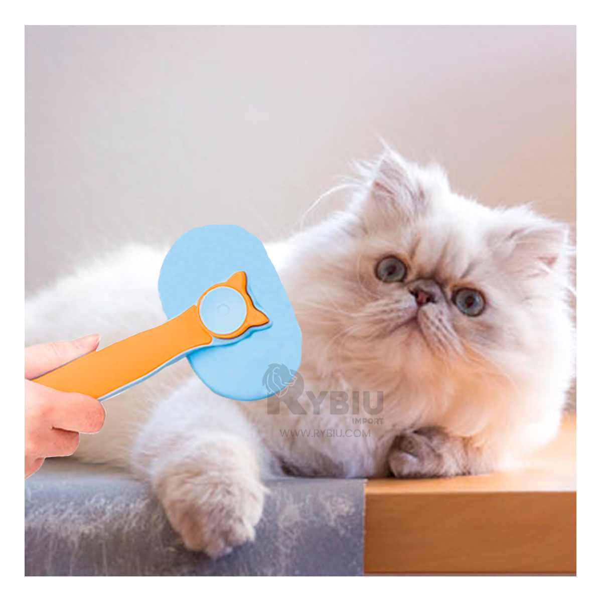 Cepillo con Boton de Limpieza de Color Celeste Y+Stickers