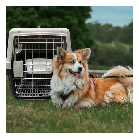 Transportadora para Perro L60 Color Negro Y+Papel de Regalo