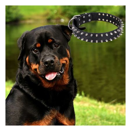 Collar Comodo para Perros Negro Talla XL Y+Papel de Regalo