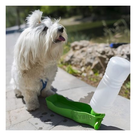 Bebedero con Bandeja para Perros en Color Verde Y+Agendita