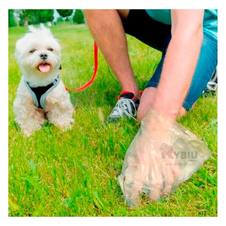 Bolso en Rollo en Color Amarillo Y+Post-it Adhesivos