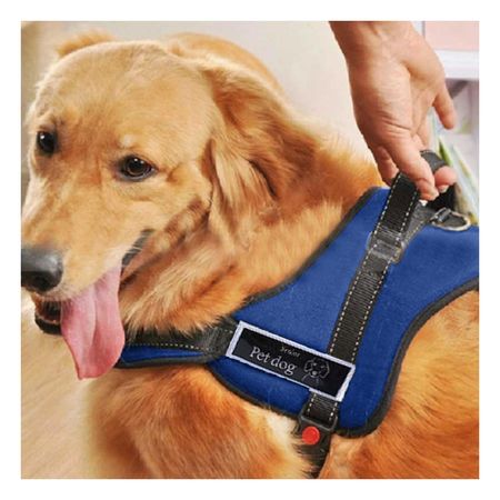 Arnes Moderno con Broche de Tono Azul Y+Regalo Stickers