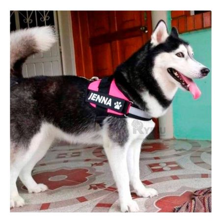 Pechera de Perros Talla XL en Rosado Y+Post-it Adhesivos