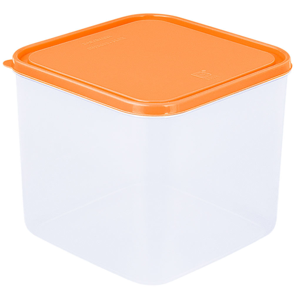 Caja Conservadora BASA Freezer #4