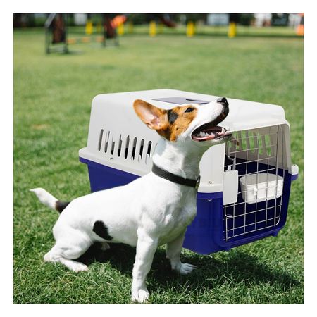 Transportadora para Perro L60 Color Azul Y+Papel de Regalo