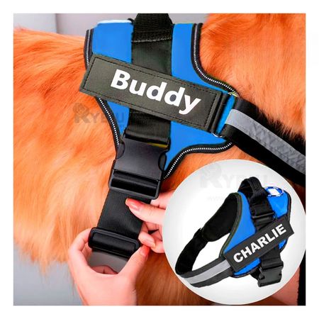 Arnes Seguro de Color Azul XXL Y+Post-it adhesivos