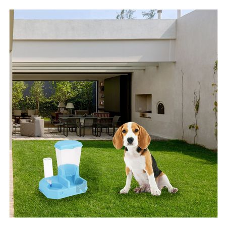 Dispensador de Agua y Comida Automatico en Celeste