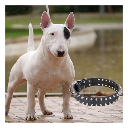 Collar Seguro y Comodo para Perro Negro Talla L Y+Stickers