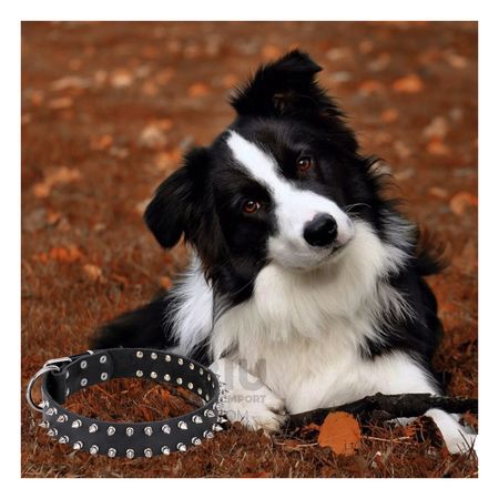 Collar con Diseño de Puas para Mascotas Color Negro Talla L