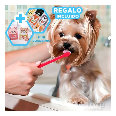 Cepillo para Bienestar Bucal de Mascotas 3 piezas Y+Agendita