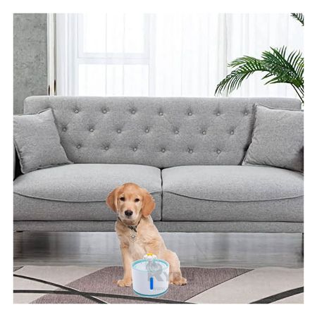 Fuente Moderna para Gatitos Blanco Celeste Y+Agendita