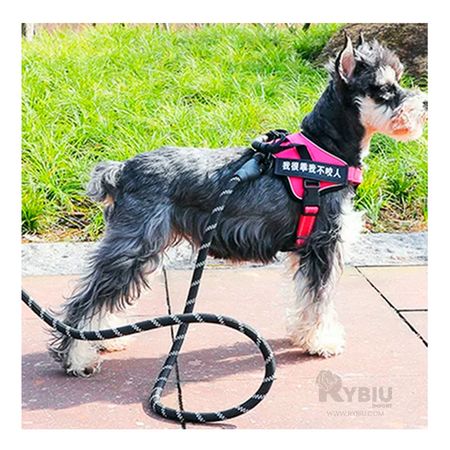 Soga Gruesa Basica y Segura de 1.2m Negro Y+Regalo Agendita