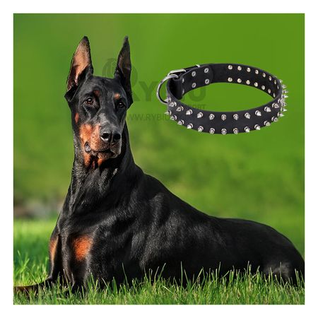 Collar Ergonomico para Perros Negro Talla XL Y+Agendita