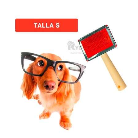 Peineta Versatil Pet Rojo de Talla S Y+Post-it adhesivos