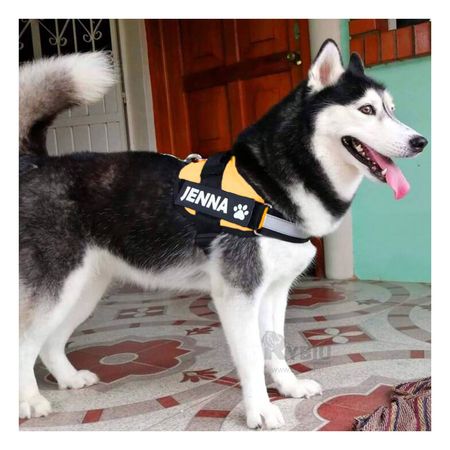 Arnes para Perros Activos Talla S de Color Amarillo