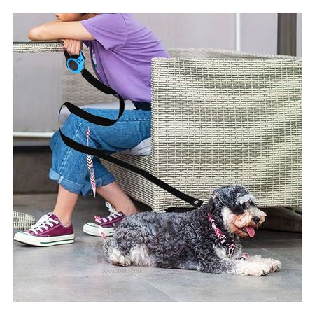 Cuerda para Perro de 5m en Color Azul Y+Post-it Adhesivos