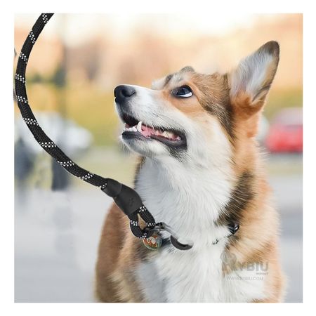 Soga Resistente para Perro Gruesa de 2m de Color Negro