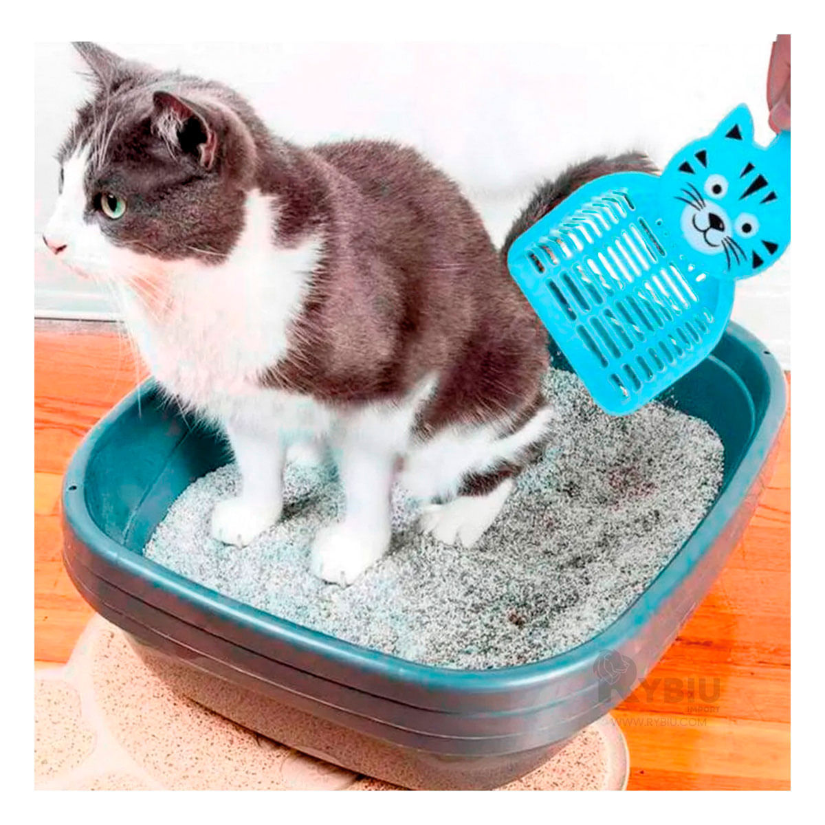 Pala con Dibujo de Gato para Arenero Azul Y+Regalo Agendita