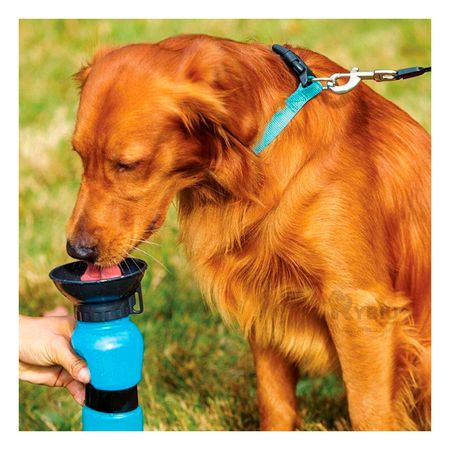 Aqua Contenedor Practico para Perro Azul Y+Regalo Agendita