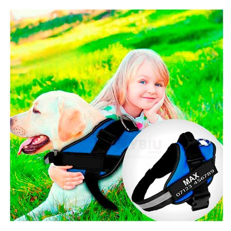 Arnes Pechera Service Dog Talla XL de Color Azul