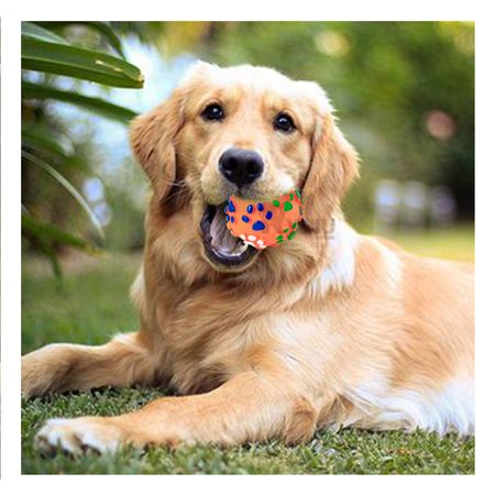 Pelota Pet con Huellas de Plastico en Color Naranja