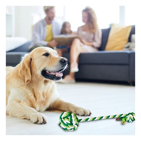 Juguete con Pelota y Soga con Agarradera Color Verde