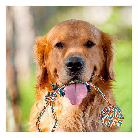 Juguete con Pelota y Soga con Agarradera Multicolor