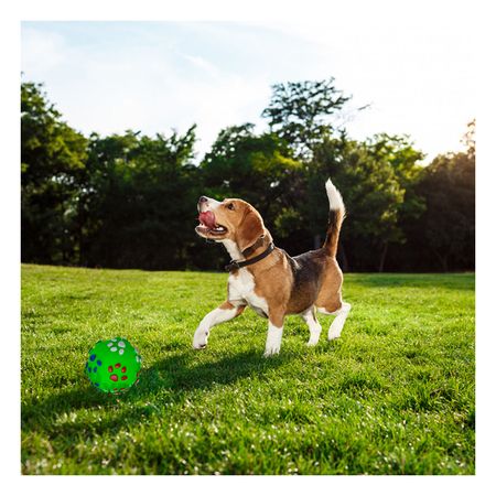 Pelota Duradera Pequeña para Perro en Color Verde