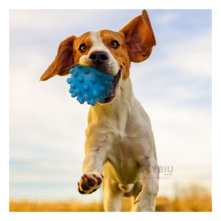 Juguete Pequeño de Caucho Forma de Chirimolla Color Celeste