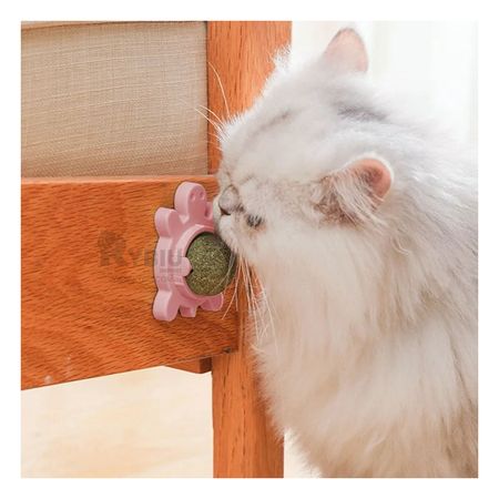 Accesorio Bucal para Felinos en Rosado Y+Post-it adhesivos