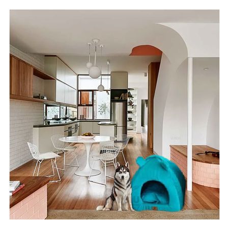 Cama Diseño de Iglu de Color Azul Rey Talla L Y+Agendita