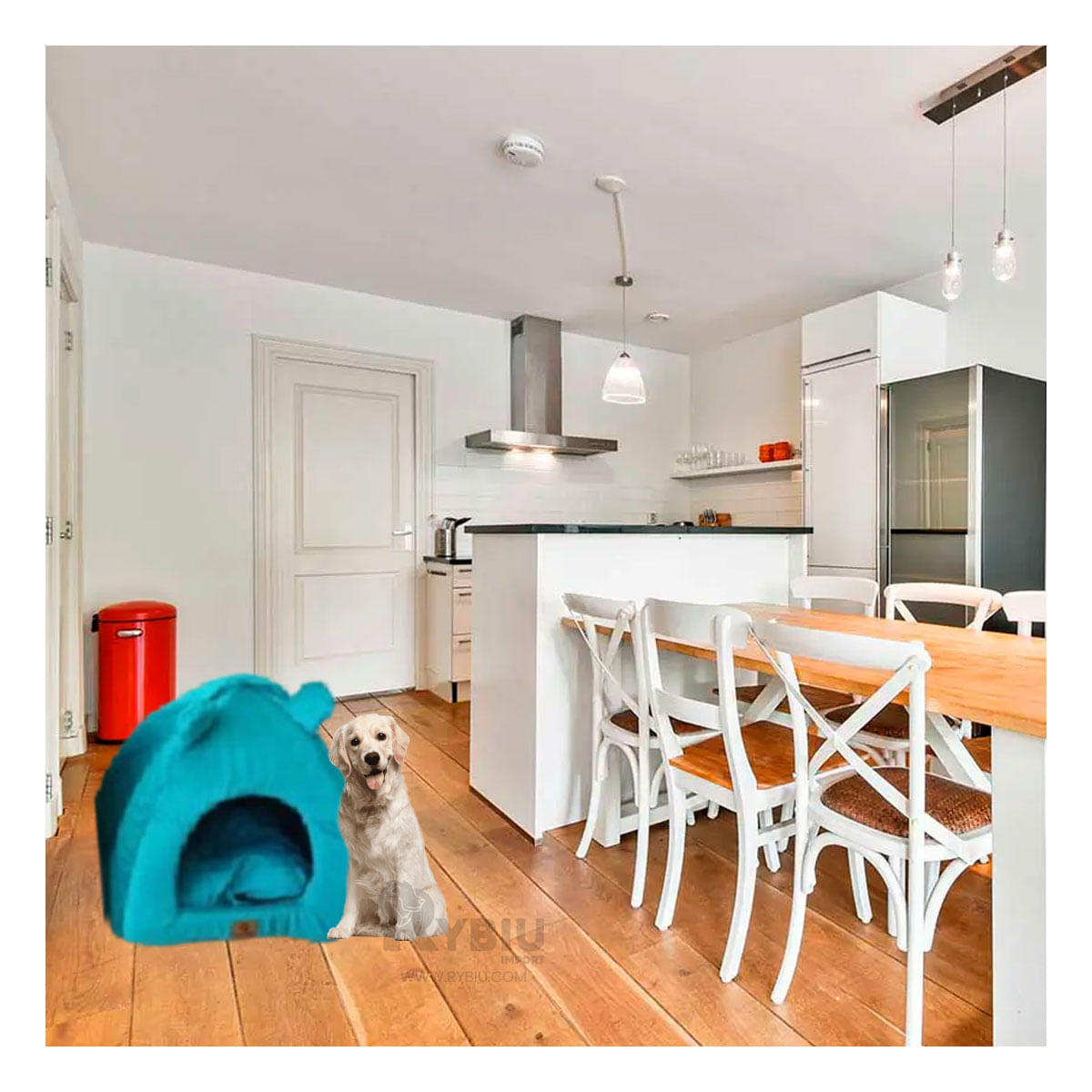 Cama Cerrada Forma de Iglu en Azul Rey Talla L Y+Stickers