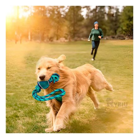 Juguete de cuerda De Perro Con Bola Azul Y+Post-it Adhesivos