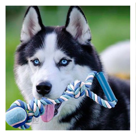 Cordón y Nudo en Y Recreativa en Azul Y+Post-it Adhesivos