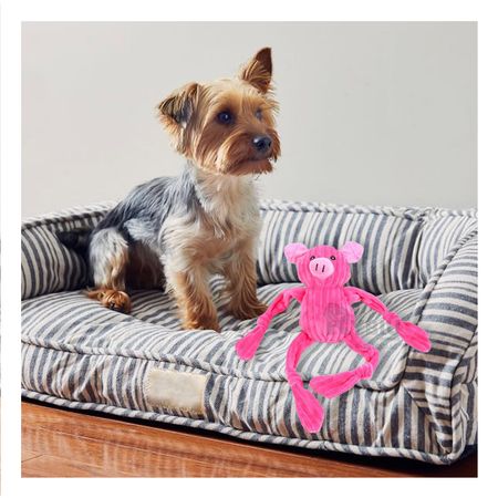 Peluche de Textura Suave en Color Rosado Y+Regalo Stickers