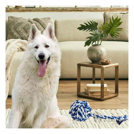 Juguete con Pelota y Soga con Agarradera Azul con Celeste