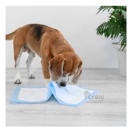 Pañal Protector de Piso Pet 60x60 Talla L Y+Regalo Agendita