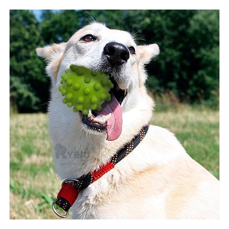 Juguete de Caucho Pequeño en Forma Chirimoya de Color Verde