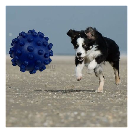 Juguete Practico para Canes Color Azul Y+Regalo Agendita